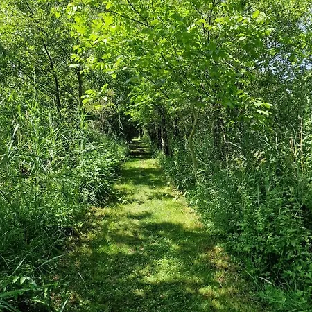 Ruheoase Am Bodensee Inkl Kayak Gaienhofen (Baden-Wurttemberg)